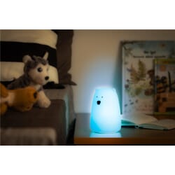 Night lamp for childrens room, rechargeable, multicolor, BPA free, Polar bearNight light - the ultimate night light for your child's room - multicolor portable rechargeable LED night light with a polar bear design, made of soft silicone that is BPA free. 9 different color options so your child can choose the perfect shade to match their mood or decor. The LED technology ensures a gentle, soothing glow that won't disturb their sleep, and the rechargeable battery means you don't have to worry about constantly changing batteries or having a socket nearby. The polar bear design adds a touch of whimsy to your child's room and creates a magical atmosphere that will inspire their imagination. Plus, the compact size and portable design means it's easy to take on trips or move around the room. Invest in your child's comfort and imagination - make your child's room feel magical.goobay