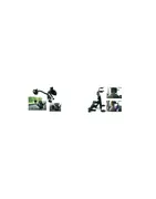 Stands and holder for phones